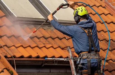 Démoussage et hydrofuge de toiture à Puye
